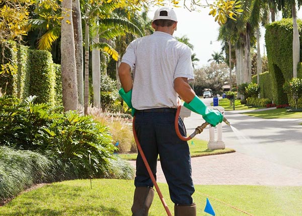 About Talking Rock GA Pest Control Pros